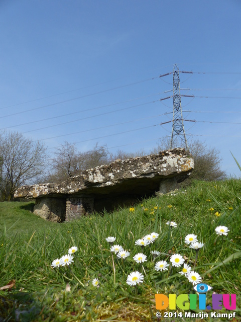 FZ004218 Daisies and electricity pylon at Tinkinswood burial chamber